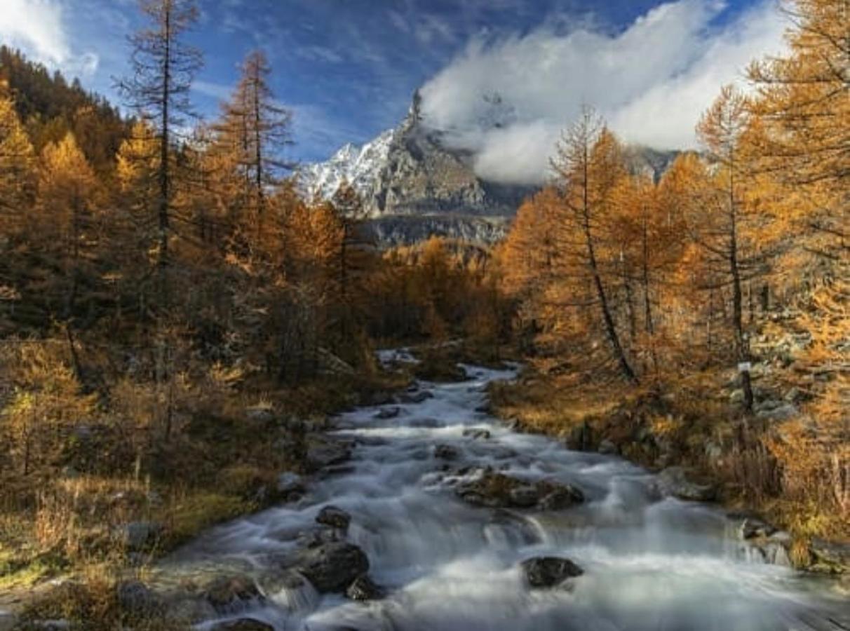 La Tana Del Ludo Lägenhet Baveno Exteriör bild